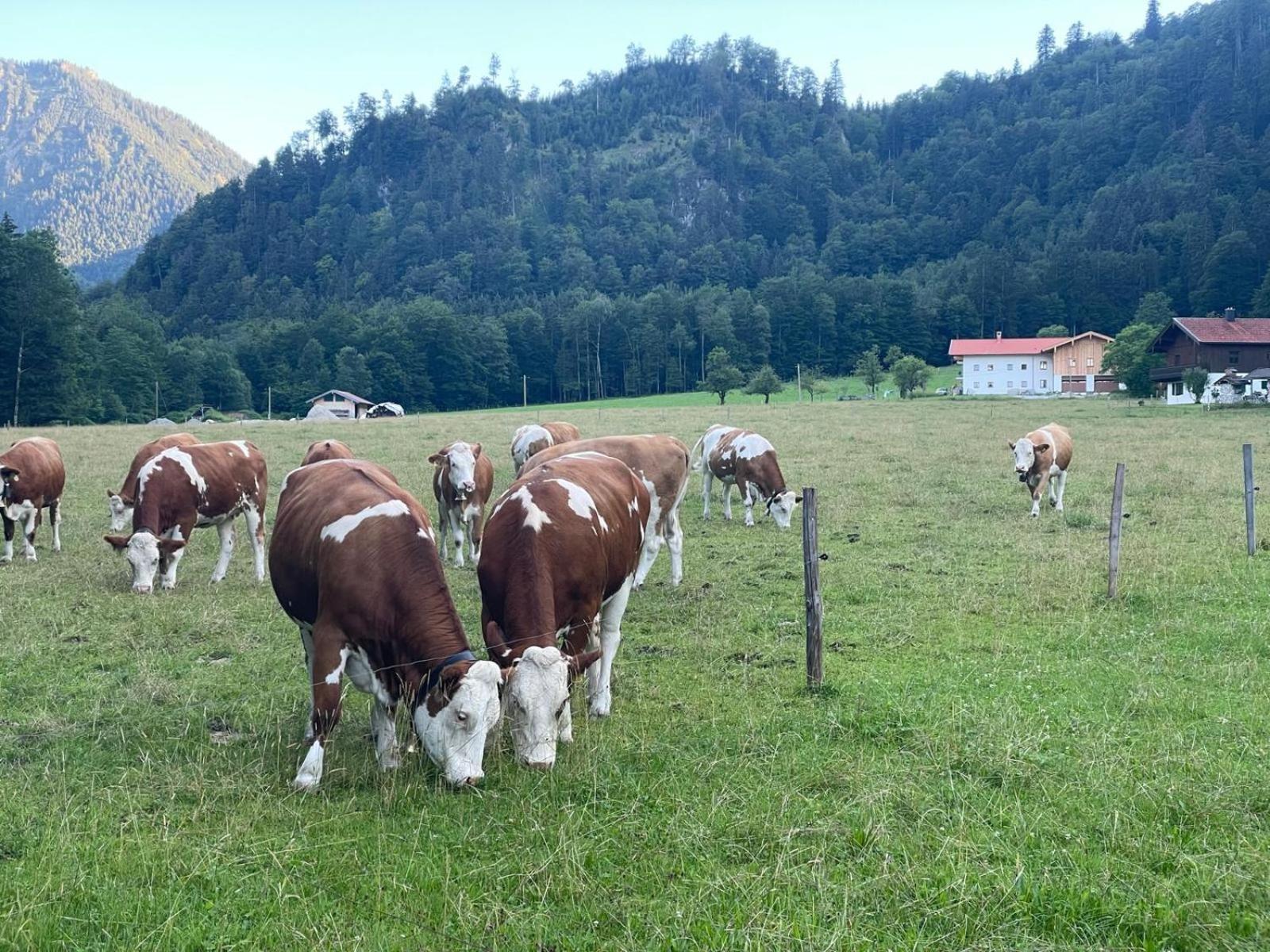 Ferienwohnungen Bergluft Aschau im Chiemgau Extérieur photo